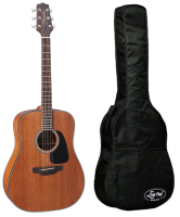 TAKAMINE GD11M-NS.png