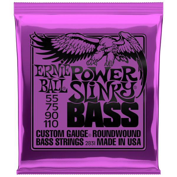 ERNIE BALL 2831.jpg