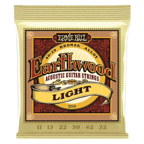 ERNIE BALL 2004.webp