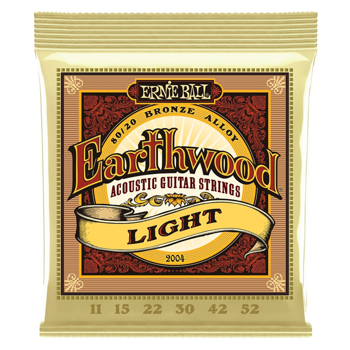 ERNIE BALL 2004.webp