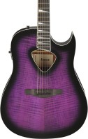 IBANEZ ALT50FA-TVT