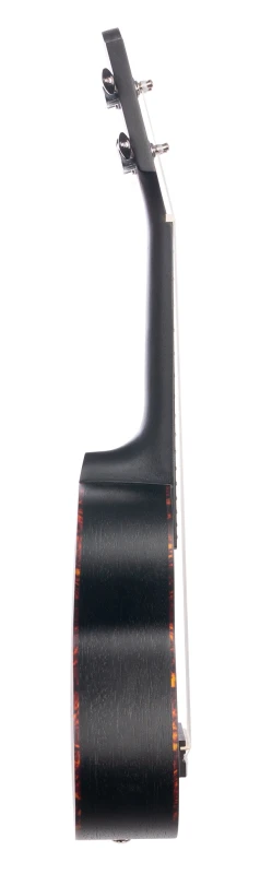 CASCHA HH 2262 SKLEP MUZYCZNY DEMO_9.jpg