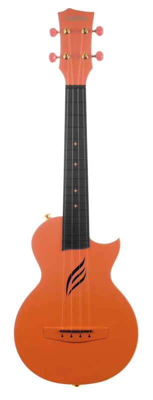 CASCHA HH 2289 SKLEP MUZYCZNY DEMO_6.jpg