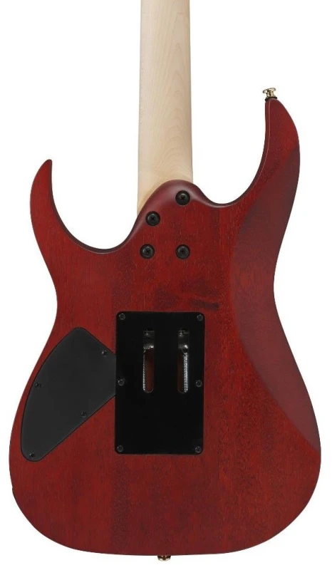 IBANEZ RGR420FMSP-TGF_5.jpg