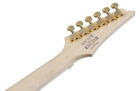 IBANEZ RGR420FMSP-TGF_8.jpg