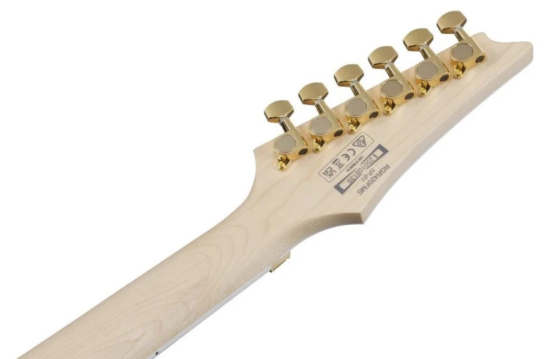 IBANEZ RGR420FMSP-TGF_8.jpg