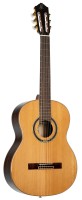 ORTEGA R159 SKLEP MUZYCZNY DEMO.jpg