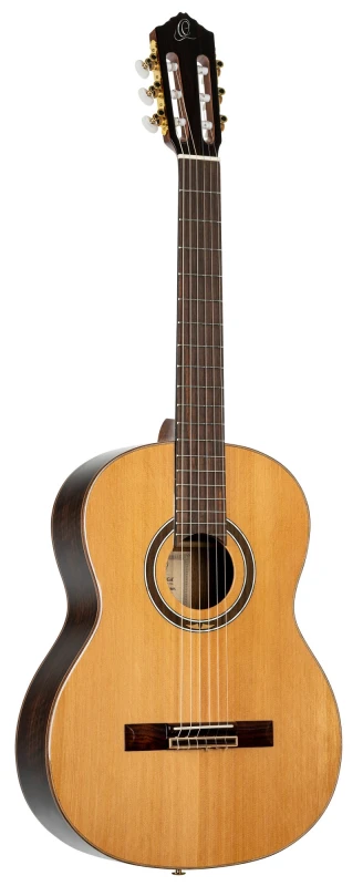 ORTEGA R159 SKLEP MUZYCZNY DEMO.jpg