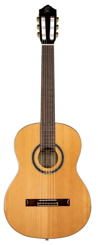 ORTEGA R159 SKLEP MUZYCZNY DEMO_2.jpg