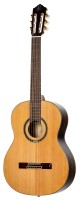 ORTEGA R159 SKLEP MUZYCZNY DEMO_3.jpg