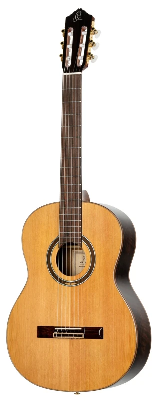 ORTEGA R159 SKLEP MUZYCZNY DEMO_3.jpg