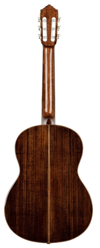 ORTEGA R159 SKLEP MUZYCZNY DEMO_4.jpg