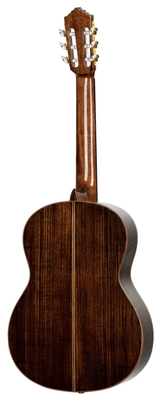 ORTEGA R159 SKLEP MUZYCZNY DEMO_5.jpg