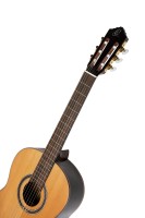 ORTEGA R159 SKLEP MUZYCZNY DEMO_7.jpg