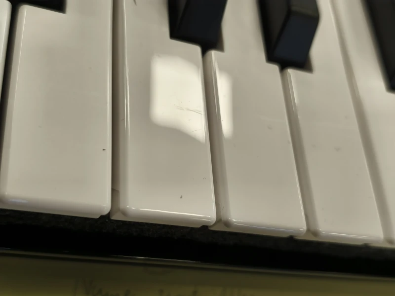 174.jpg