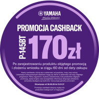 YM-PL Polish P-145BT Cashback icon PLN.png