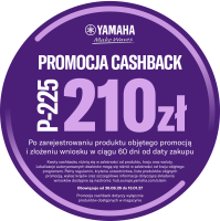 YM-PL Polish P-225 Cashback icon PLN.png