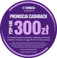 YM-PL Polish YDP-146 Cashback icon PLN.png
