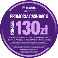 YM-PL Polish PSR-E583 Cashback icon PLN.png