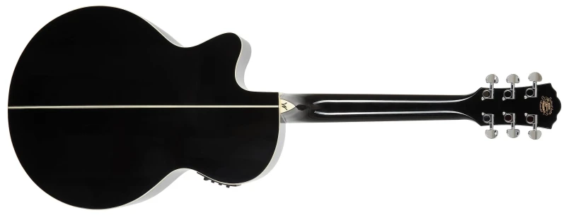 WASHBURN EA10B SKLEP MUZYCZNY DEMO_4.webp