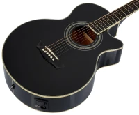 WASHBURN EA10B SKLEP MUZYCZNY DEMO_8.webp