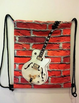 ZEBRA MUSIC PLECAK WOREK Z GITARĄ ELEKTRYCZNĄ TYPU HOLLOWBODY PL07