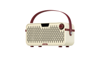 Hotone Pulze Jr. AP-20WH Moonlight White - wzmacniacz modelujący 20 W