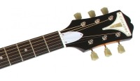 EPIPHONE PRO-1 ACOUSTIC VS