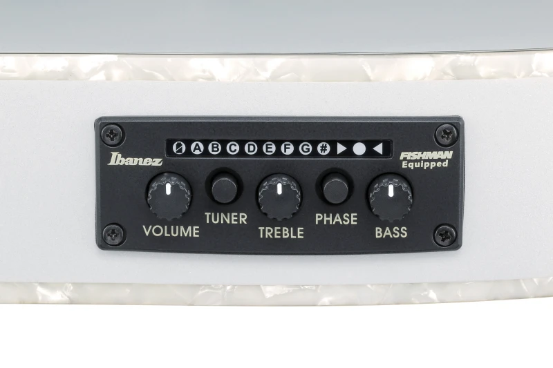 IBANEZ TOD10N-SMF SILVER METALIC FLAT TIM HENSON GITARA ELEKTROKLASYCZNA