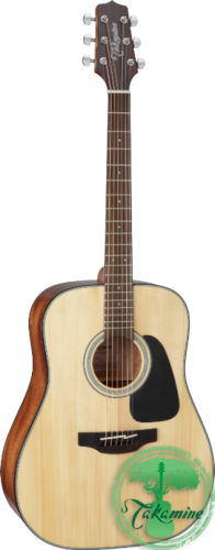 TAKAMINE GD30 NAT