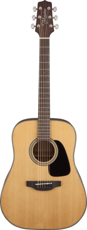 TAKAMINE GD10 NS + POKROWIEC
