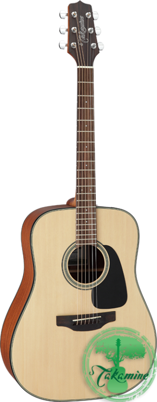 TAKAMINE GD10 NS + POKROWIEC