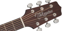 TAKAMINE GD10 NS + POKROWIEC