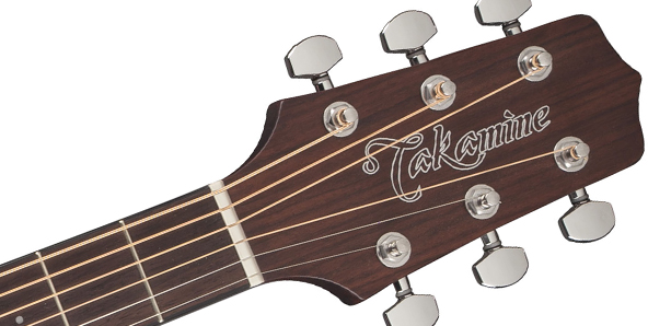 TAKAMINE GD10 NS + POKROWIEC