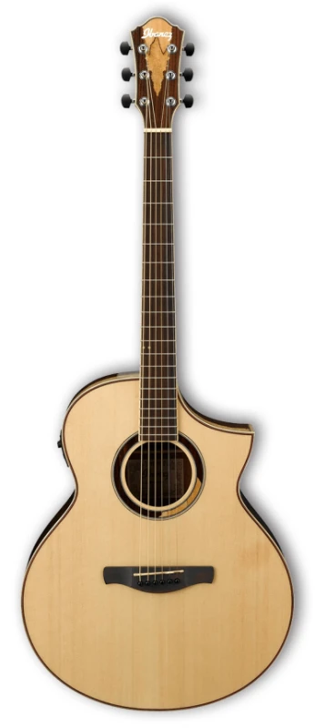 IBANEZ AEW51-NT