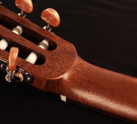 CORT AC120CE OP