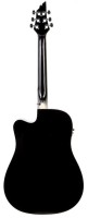 FLYCAT C100 BK CEQ