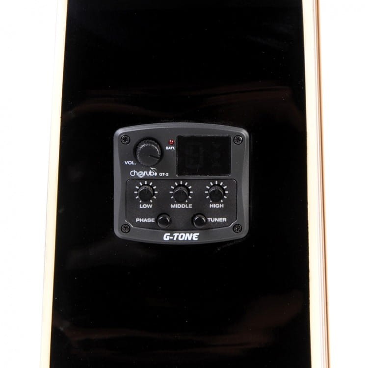 FLYCAT C100 BK CEQ