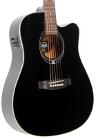 FLYCAT C100 BK CEQ