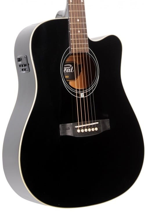 FLYCAT C100 BK CEQ