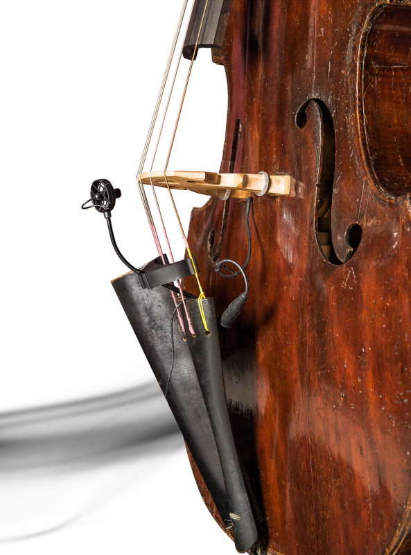 PRODIPE BL21 MIKROFON DO KONTRABASU