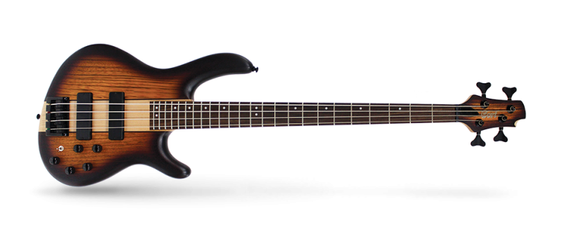 CORT C4 PLUS ZBMH OTAB