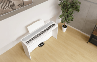 KORG B2 SP WH
