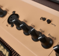 FISHMAN LOUDBOX MINI BLUETOOTH