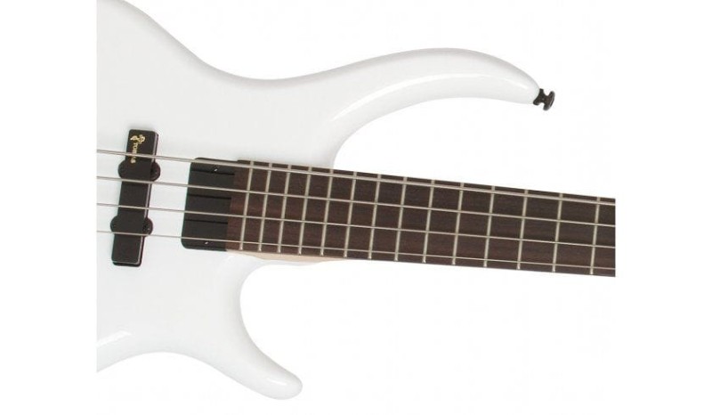 EPIPHONE TOBY STANDARD IV AW BAS