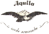 Aquila