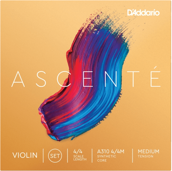 DADDARIO A310 4/4 MED ASCENTE VIOLIN SET