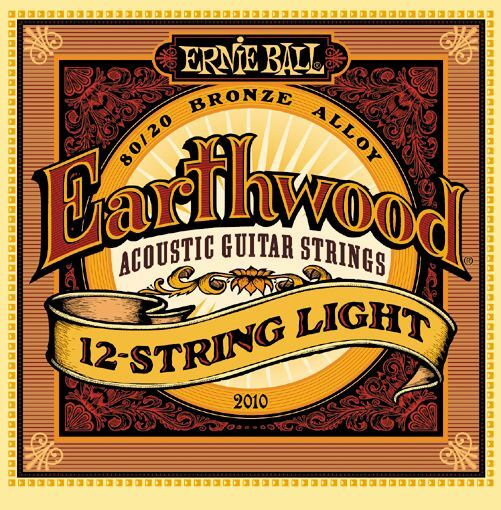 ERNIE BALL 2010