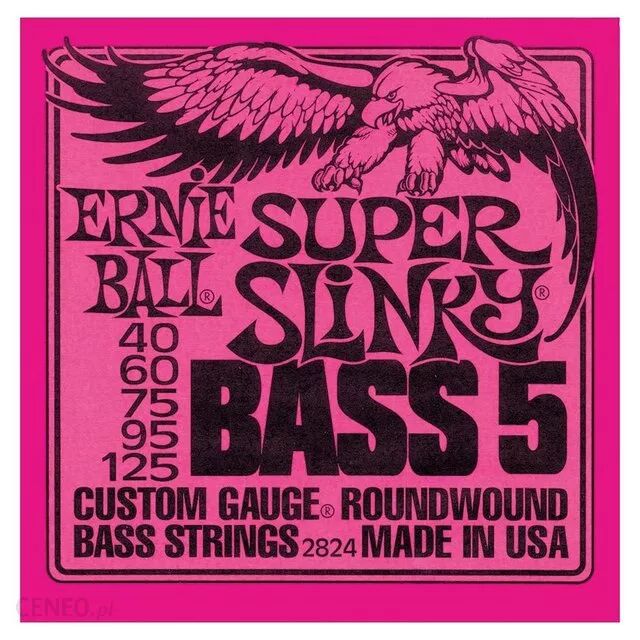 ERNIE BALL 2824