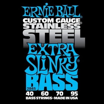 ERNIE BALL 2845